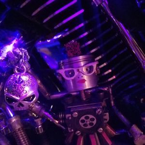 Meet your Posher, Sandra